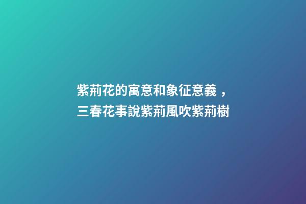 紫荊花的寓意和象征意義，三春花事說紫荊風吹紫荊樹